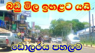 Dollar rate today l foreign exchange rates in Katunayake today 10th January 2024 [upl. by Notrab]