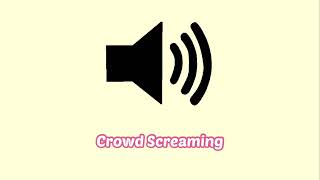 Crowd Screaming Sound Effect [upl. by Daggna668]