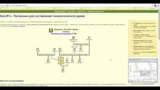 Строим генеалогическое древо Программа GenoPro Ч2 [upl. by Neeroc371]