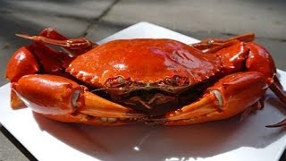 CRAB FARMING  NAVUA FIJI [upl. by Erving]