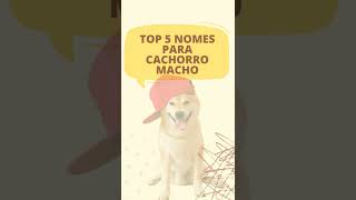 🐶TOP 5 NOMES DE CACHORRO MACHO [upl. by Auqinimod551]