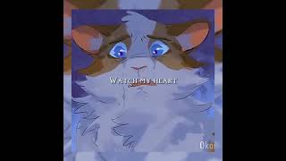 Watch my heart burn swiftpaw brightheart warriorcats edit warriorcatsedit shorts dontflop [upl. by Lerad]