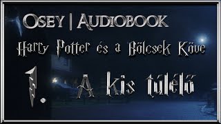 Harry Potter és a Bölcsek Köve hangoskönyv  1 fejezet [upl. by Ahsinelg]