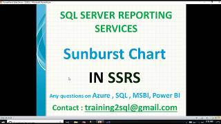 Sunburst Chart in SSRS  SSRS Sun burst chart [upl. by Croteau576]