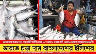 এবার চড়া দামে ভারতে কিনছে বাংলাদেশের ইলিশ  Padma Hilsha Fish  Sokaler Bani [upl. by Sanfourd7]