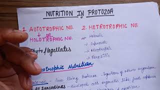 Nutrition in Protozoa  quick revision of nutrition in Protozoa [upl. by Luke]