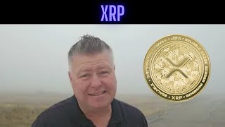 Should Crypto Investors Sell Bitcoin To Buy XRP [upl. by Aibara]