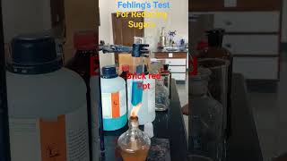 Fehling Test  Identification Test for reducing sugars chemistry electic biochemistry [upl. by Barkley]