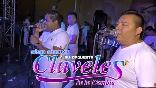 MALDITO LICORDR  LOS CLAVELES DE LA CUMBIA 2016 EN 4K  CUCALAMBE 20032016 [upl. by Peppie]