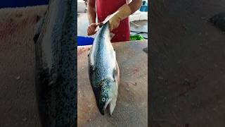 Boning and filleting Norwegian salmon fishcutting [upl. by Tnomyar]