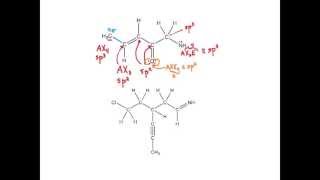 hybridization organic chemistry [upl. by Netta465]