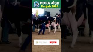 PDFA Mela Jagraon 2024  PDFA मेला जगराओं  PDFA ਮੇਲਾ ਜਗਰਾਓਂ [upl. by Tobie585]