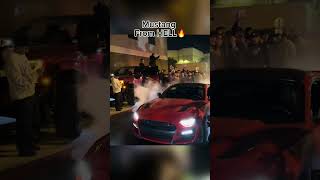 Procharger goes insaneee ford mustang burnout shorts cars [upl. by Laryssa956]