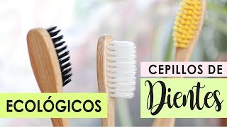 CEPILLOS DENTALES ECOLÓGICOS  🌿💚 OPCIONES BIODEGRADABLES HIGIENE ORAL [upl. by Juliet]