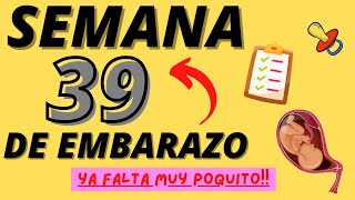 Semana 39 Embarazo Tercer trimestre [upl. by Virgilia]