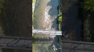 Salmon Run 2024 Ganaraska River  Port Hope Ontario Canada [upl. by Flight]