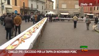 Zibello PR successo per la tappa di November Porc [upl. by Nodnyl867]