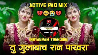 Tu Gulabach Ran Pakhara dj song  तू गुलाबाच रान पाखरा  Active Pad Mix  DJ Chandrakant Marathi dj [upl. by Aracaj]