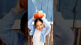 Pumpkin patch  Rockberry Ranch [upl. by Nara]