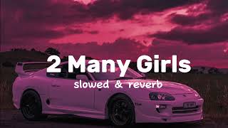 2 Many Girls slowed amp reverb Fazilpuria  Badshah [upl. by Olnee]