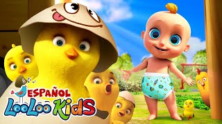 🐤🐥Los Pollitos Dicen Pio Pio  S1EP20 Las Mejores Canciones para Niños  LooLoo Kids Español [upl. by Oicram611]