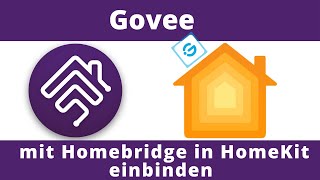 Govee in HomeKit integrieren mit Homebridge [upl. by Coffin736]