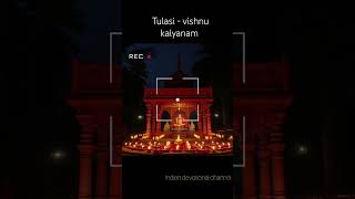 Tulasi  Vishnu kalyanam tulasi tulasivivahgeet vishnu youtubeshorts youtube video foryou [upl. by Llednar]