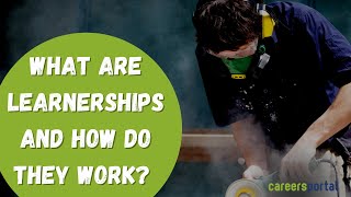 What Are Learnerships And How Do They Work  Careers Portal [upl. by Robinetta]