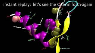 Simulation of millisecond protein folding NTL9 from Foldinghome [upl. by Anaujnas]