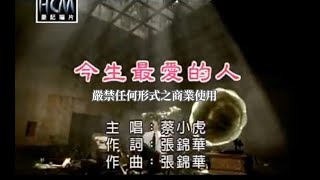 蔡小虎今生最愛的人官方KTV版 [upl. by Ycart704]