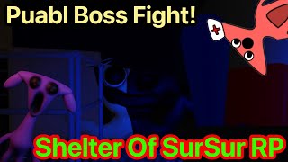 Puabl Boss Fight Shelter Of SurSur RP 200 Subs Special Part 1 [upl. by Valentijn]