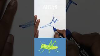 Amazing grasshopper draw drawing youtubeshorts [upl. by Eoj]