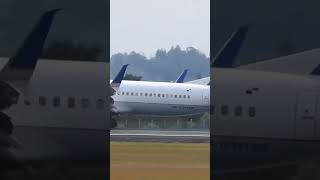 aviation planespotting airport landing medellin panama aviacioncolombiana copaairlines [upl. by Atiras]