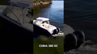 Cobia 280 DC  for sale  contact Boat Monster for a viewing [upl. by Cibis]