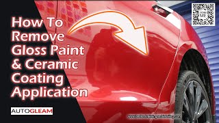 How to Remove Gloss Paint From Vehicle Paintwork amp Glass [upl. by Neyut]