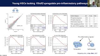 Kamil Kranc quotThe impact of RNA modifications on normal and malignant haematopoiesis” [upl. by Ikceb90]