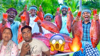 😱RED SNAPPER FISH  Big Fish Grill Recipe Cooking in Village  Fish Fry in Clay  Ancient Cooking [upl. by Anolahs734]