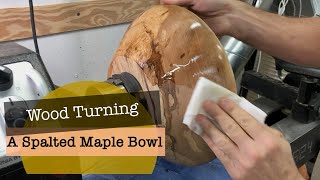 Woodturning a Spalted Maple bowl on my new Laguna 1524 lathe [upl. by Kerril664]