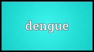 Dengue Meaning [upl. by Richela791]