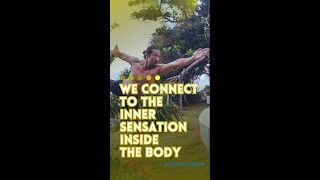 We Connect to the Inner Sensation Inside the Body [upl. by Fasa]