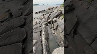 The giant slabs of Canadian Shield at Killbear Provincial Park [upl. by Yelmene]