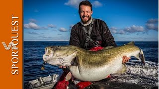 Giant Skrei Cod Fishing in the Norwegian Sea Havoysund Norway 🇳🇴 [upl. by Inait458]