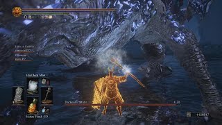 DS3 Midir vs Pestilent Mist  Coop [upl. by Matless22]