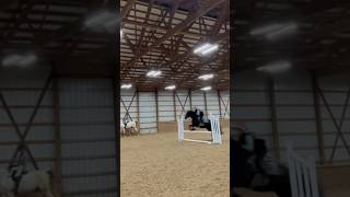 NO STIRRUP JUMPING horse horseriding equestrain riding jumping [upl. by Pickett876]