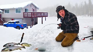 I bought a MOUNTAIN FISHING FARM Ice Fishing for TROUT Catch amp Cook [upl. by Nahsyar]