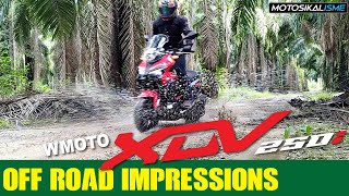 WMOTO XDV 250i OFF ROAD IMPRESSIONS  ADVENTURE SCOOTER [upl. by Milo]