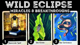 💥WILD Eclipse Miracles amp Breakthroughs ⭐️⭐️⭐️⎮pick a card 🃏 tarot reading [upl. by Waverley345]