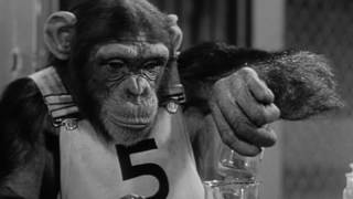 Monkey Business 1952 Trailer [upl. by Rutan]