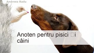 Anoten pentru pisici și câini recenzii preț metoda de aplicare instrucțiuni [upl. by Stearns]