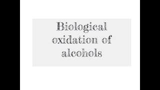 333 BCH3023 Biological Oxidation of Ethanol [upl. by Peta]